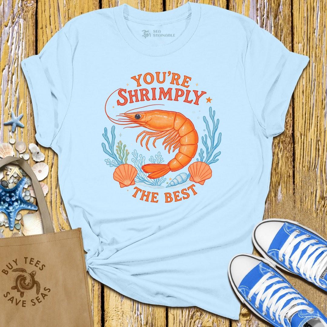 Stylish Light Blue T Shirt