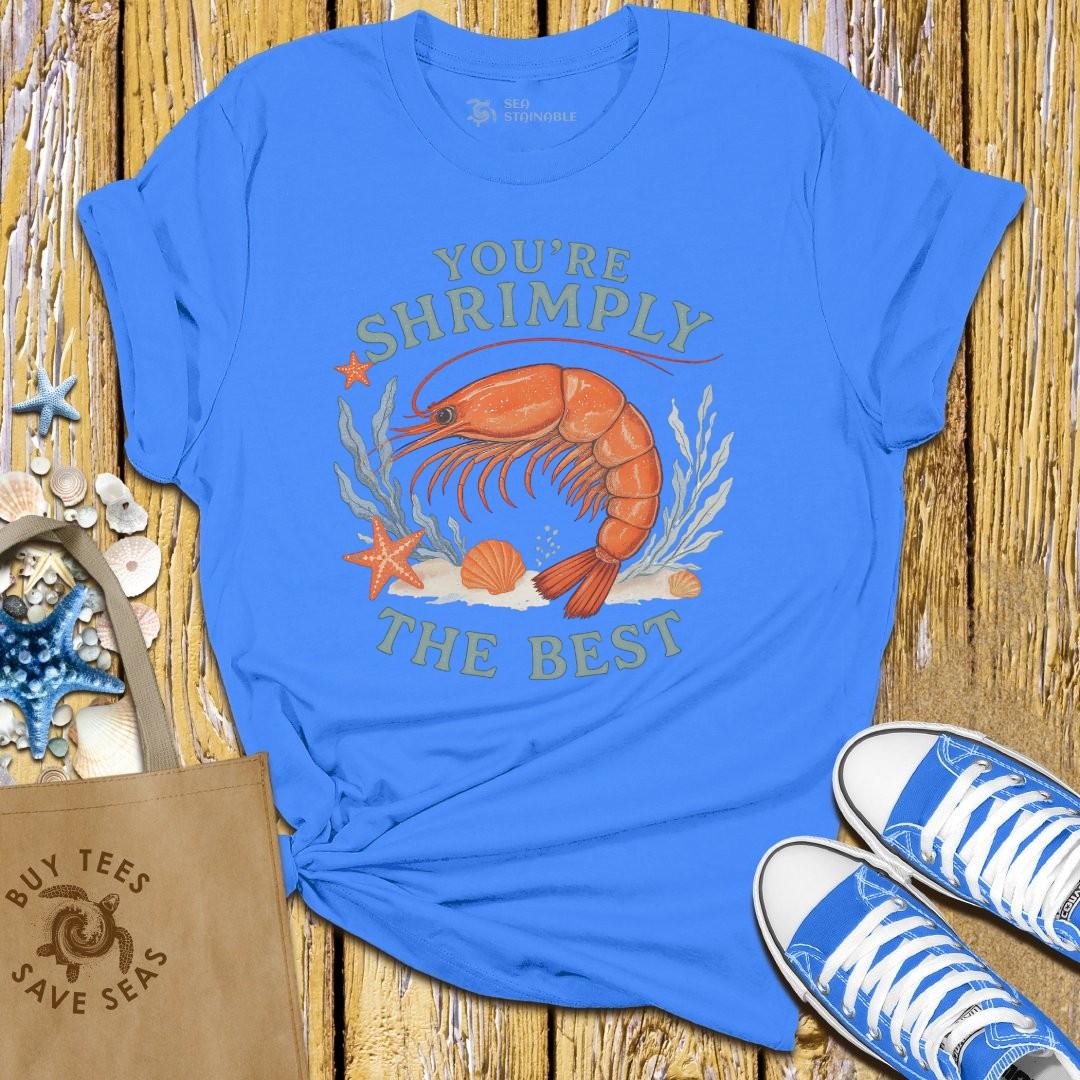 Stylish Blue Shirt for Women